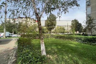 Apartament 2 camere decomandat Pacurari - Moara de Foc - 18