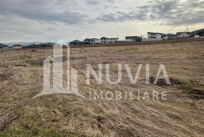 Teren de 550 mp, în Micești