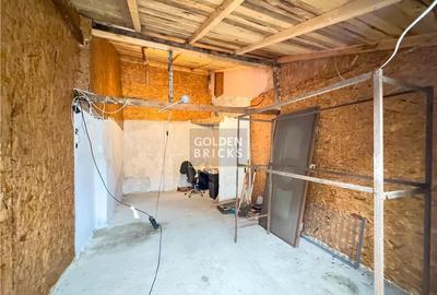 Pache Protopopescu | PROTV | Vizibilitate |  Curte 250 mp | Garaj - 16