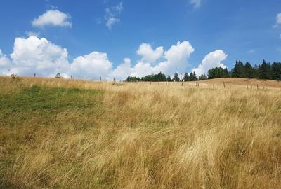 Teren Construcții extravilan de 7200 mp, în Arieșeni - 8