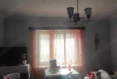 Gospodarie de vanzare in Oarta De Jos cu anexe si 49 ari teren - 4