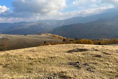 Teren de vanzare ideal pentru cabana Zona Valari, Paltini?(6131 m) - 5