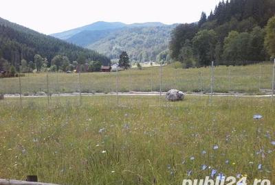 Teren de 1000 mp, în Cheia - 3