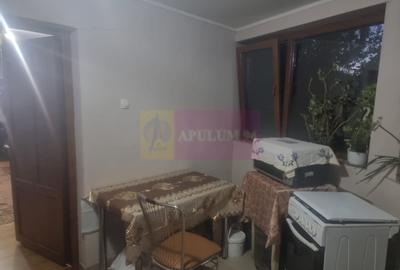 Casă cu 7 camere cu Teren 1500 Mp în Islaz - 17