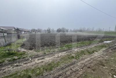 Teren 2000 mp, zona Dragutesti - 3