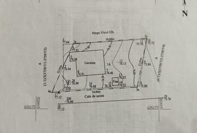 Horpaz Casa individuala P+M 208 mp utili + 650 mp teren + gradina - 17