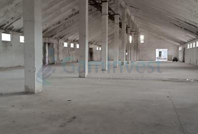 Spațiu comercial, de 1,680 mp, în Vadu Crișului - 2