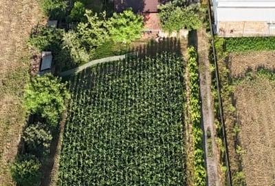 Casă Spațioasă și Domeniu Generos de Vânzare în sat Râu Barbat, comuna Pui, HD - 4