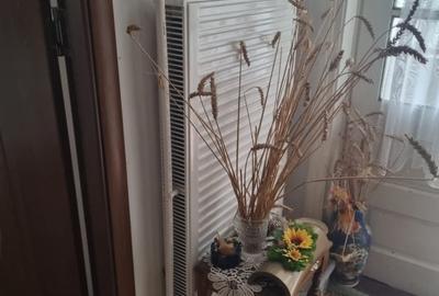 Casă individuală cu 3 camere cu Teren 253 Mp în Central - 6