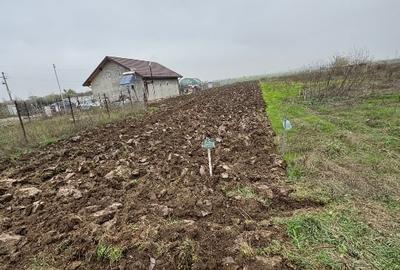 Teren intravilan ,1500mp-Strada Fagului .1Decembrie ideal Rezidențial ,dublă des - 3