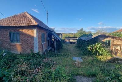 Teren intravilan , 1100mp , front 12,60 m , intrare Filiasi - 1
