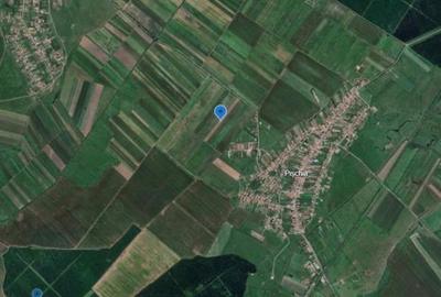 Teren de 28500 mp, în Pișchia - 2