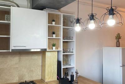 Apartament cu 2 camere decomandat în Olteni - 5