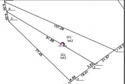 Teren Snagov Lac 1318 mp