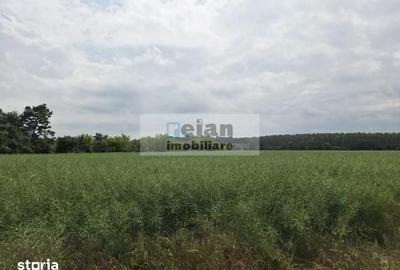 Teren de 700 mp, în Ciolpani - 3