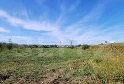 Teren extravilan, cu CF, 2963 mp, in Mihai Viteazu - 1