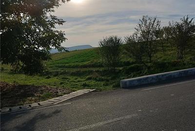 Teren în Peștere - 2