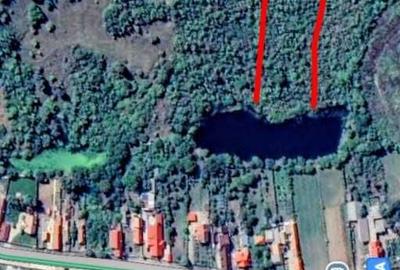 Teren de 6300 mp, în Tărlungeni - 15