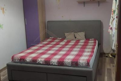 Apartament cu 2 camere nedecomandat, mobilat în Podu Roș - 2