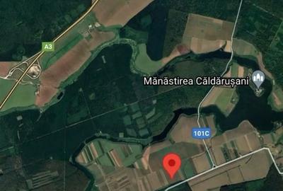 Teren de 10000 mp, în Lipia - 4