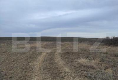 Teren intravilan industrial, 14458mp, centura de Est - 6