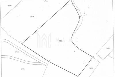 Teren industrial I 37200 mp Parcelabil I Acces la DJ I Agnita - 2