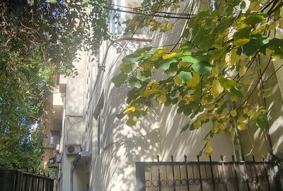 Pache Protopopesu - Ferdinand - 14