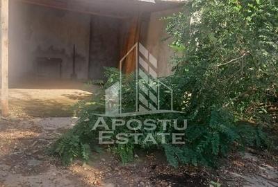 Casa individuala in Cruceni ,la granita cu Serbia - 10
