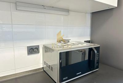 Apartament pentru chirie 4 camere in Herastrau - 9