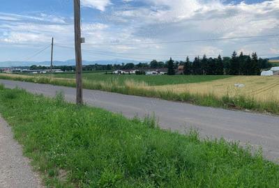 Teren de 10000 mp, în Arcuș - 4