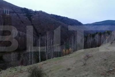 Teren de 140000 mp, în Central - 7
