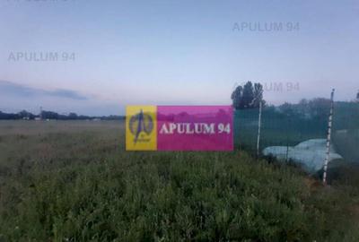 Teren aproape de Bucuresti langa padure - 2