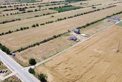 Lot Intravilan In Rate Com. Berceni | utilitati: curent/gaz | #MG4EBF - 8