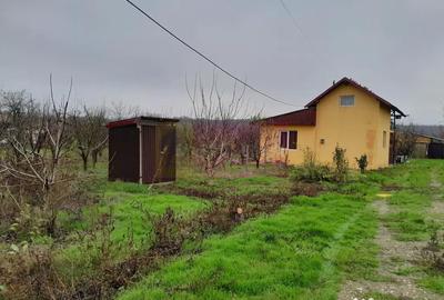 Casă cu 3 camere cu Canalizare în Bărcănești - 16