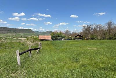 Domeniu - 66 Hectare - Teren deosebit Copsa Mica cu desch... - 6