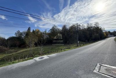 Teren de 13167 mp, în Bughea de Sus - 14