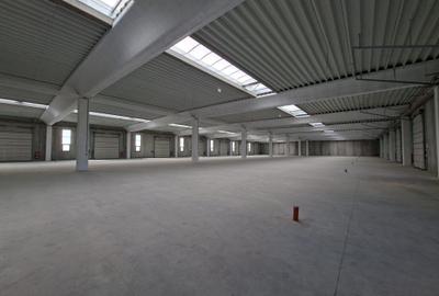 Hala beton 3000 mp, ideal fabrica, 10 Porti TIR, dedicat 400 kw Hala beton 3000 mp, ideal fabrica, 10 Porti TIR, dedicat 400 kw - 7