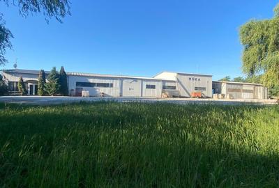 Spațiu industrial, de 1,000 mp, în Tileagd - 1