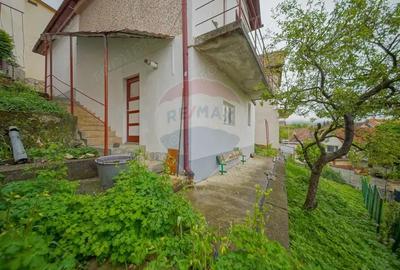 Casa / Vila cu 5 camere de vanzare in zona Schei, Cotun 9 - 6