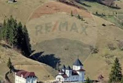 Comision 0 %/ Teren extravilan 13,570mp Pestera / Priveli... - 11