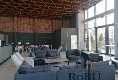 Showroom comercial, clinica zona Calea Bucuresti # RoBU spatii comerciale - 5