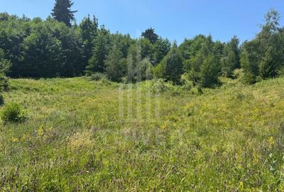 Teren intravilan 4600mp - 55 EUR/mp - EXCLUSIVITATE CISNADIOARA - COMISION 0% - 6