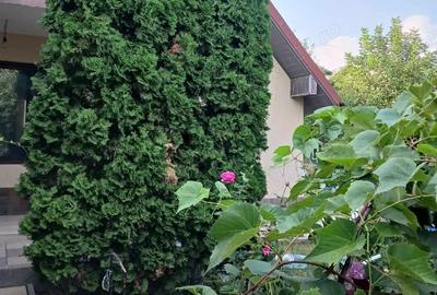 Casă cu 4 camere în Valea Adâncă - 3