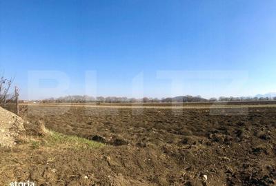 Spațiu comercial, în Central