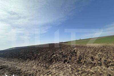 Teren de 15000 mp, în Sântuhalm - 2