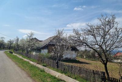 Spațiu comercial, în Băița - 5