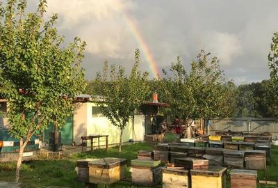 Spațiu comercial, în Ion Creangă - 1