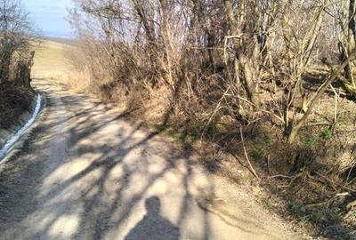 Vand teren in satul Gheorghieni 1400 mp, strada asfaltata - 4