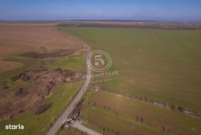 Teren de 80000 mp, în Vasilați - 5