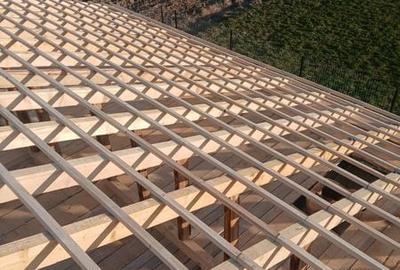 Casă cu 3 camere cu Teren 90 Mp în Hărău - 1